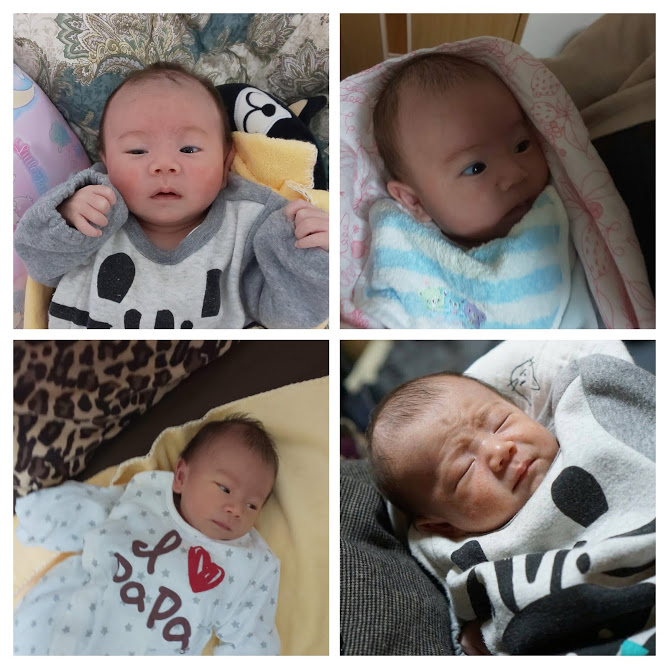 赤ちゃんの顔の変化 誕生から生後6カ月 Baby Face Change Cambio De Cara De Bebe 人事部長の育休ブログ